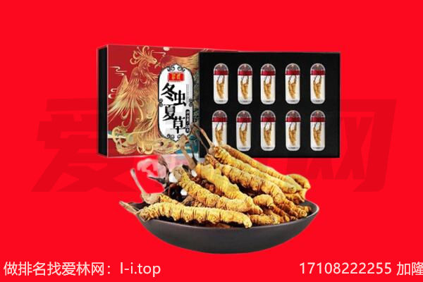 海口市龙华回收虫草.jpg
